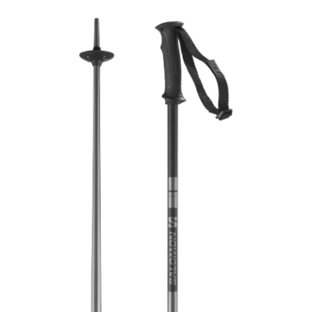Salomon POLES ARCTIC BLACK